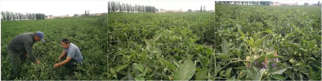 2019071915635167245830518.jpg 2019071915635167245830518.jpg