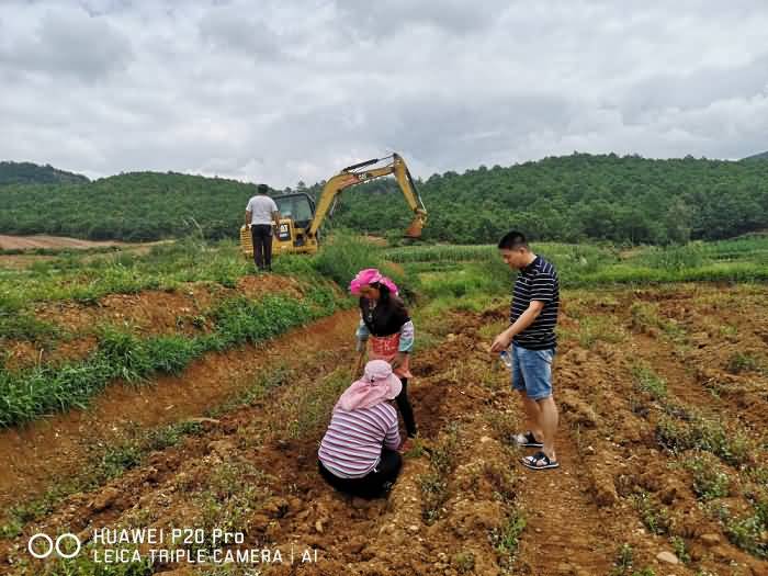 微信圖片_20200819195507.jpg 微信圖片_20200819195507.jpg