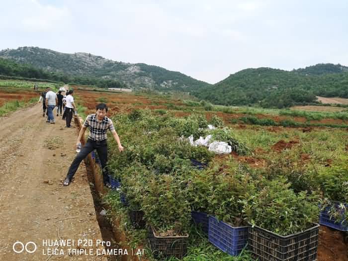 微信圖片_20200820213507.jpg 微信圖片_20200820213507.jpg