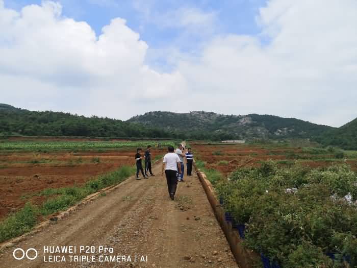 微信圖片_20200820213521.jpg 微信圖片_20200820213521.jpg