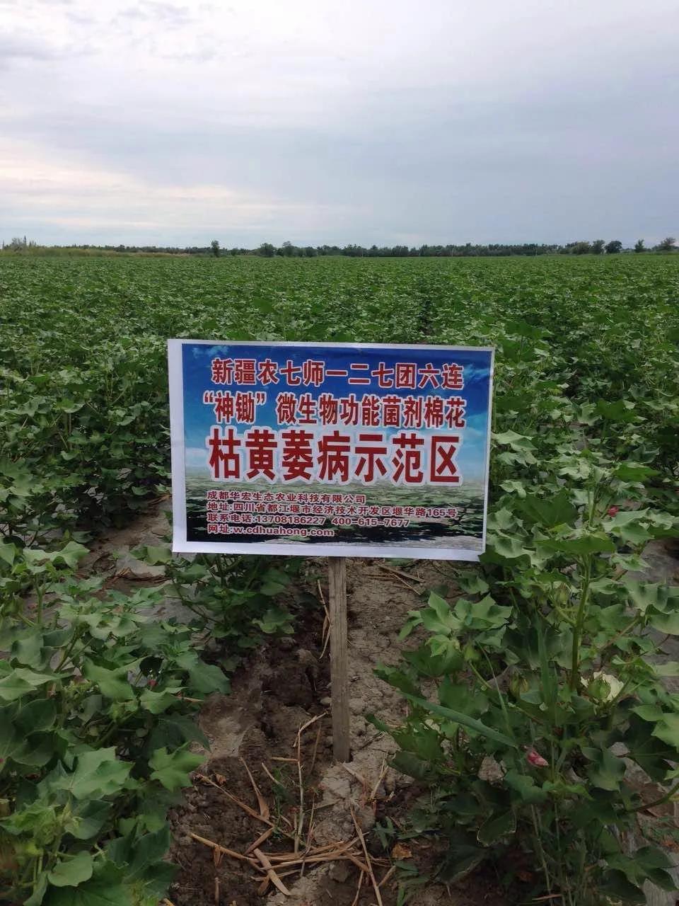 微信圖片_20210114103456.jpg 微信圖片_20210114103456.jpg