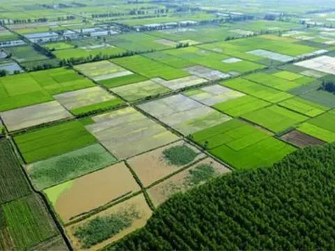 微信圖片_20211029124548.jpg 微信圖片_20211029124548.jpg