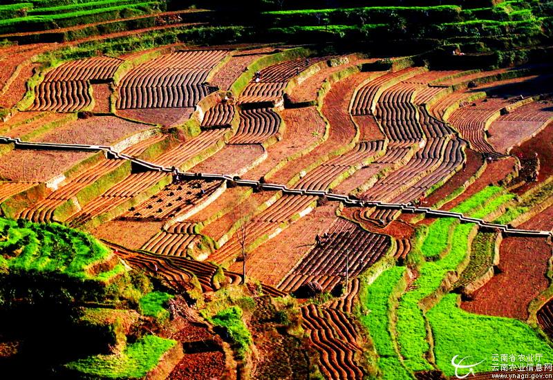 微信圖片_20211029124548.jpg 微信圖片_20211029124548.jpg