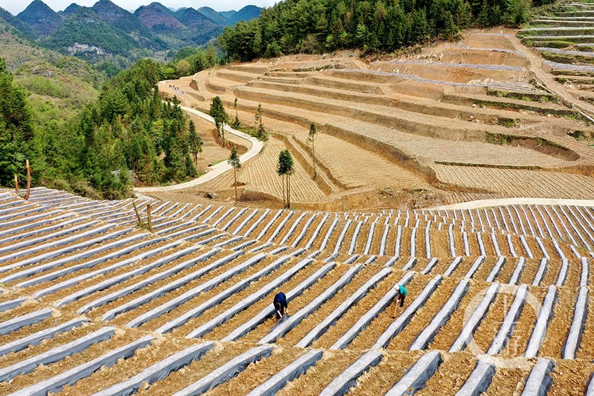 微信圖片_20211029124548.jpg 微信圖片_20211029124548.jpg