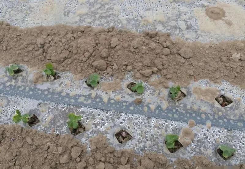 微信圖片_20211219135809.jpg 微信圖片_20211219135809.jpg