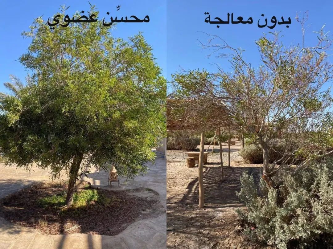 微信圖片_20220316172057.jpg 微信圖片_20220316172057.jpg