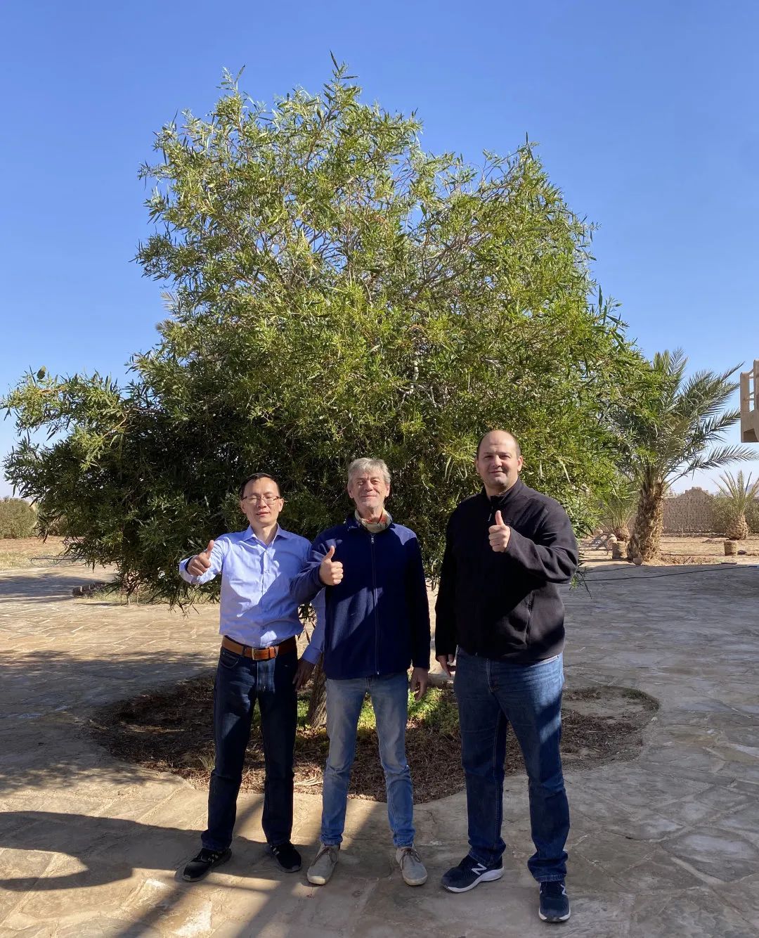 微信圖片_20220316172211.jpg 微信圖片_20220316172211.jpg