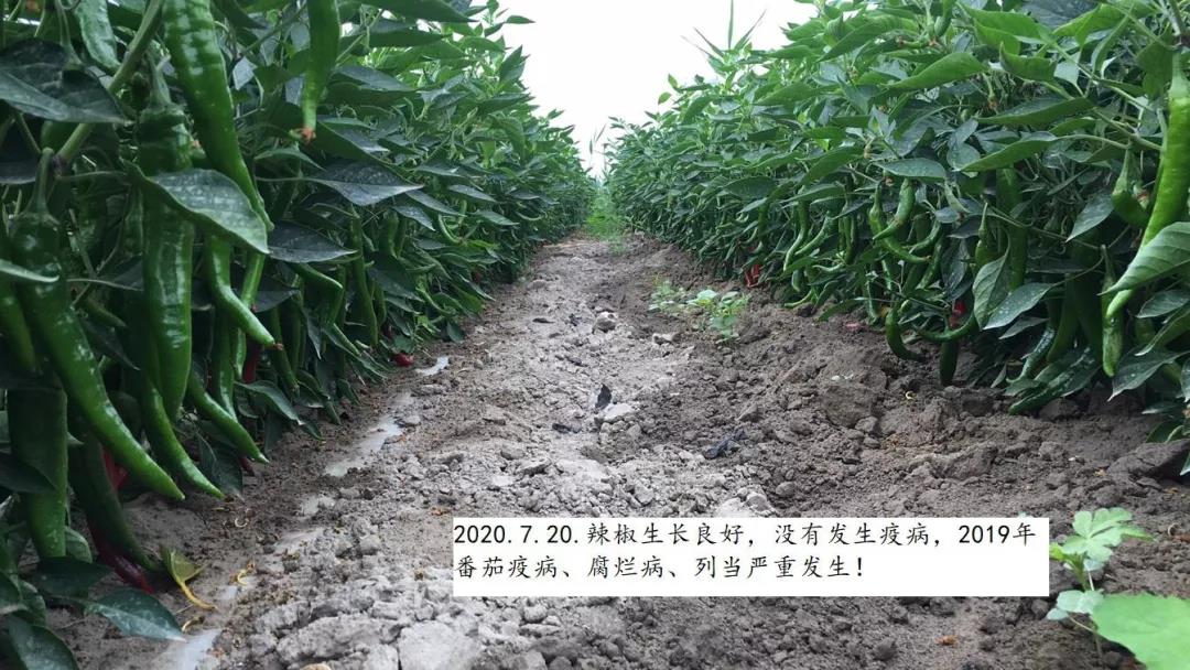 2022012716432546054086027.jpg 2022012716432546054086027.jpg