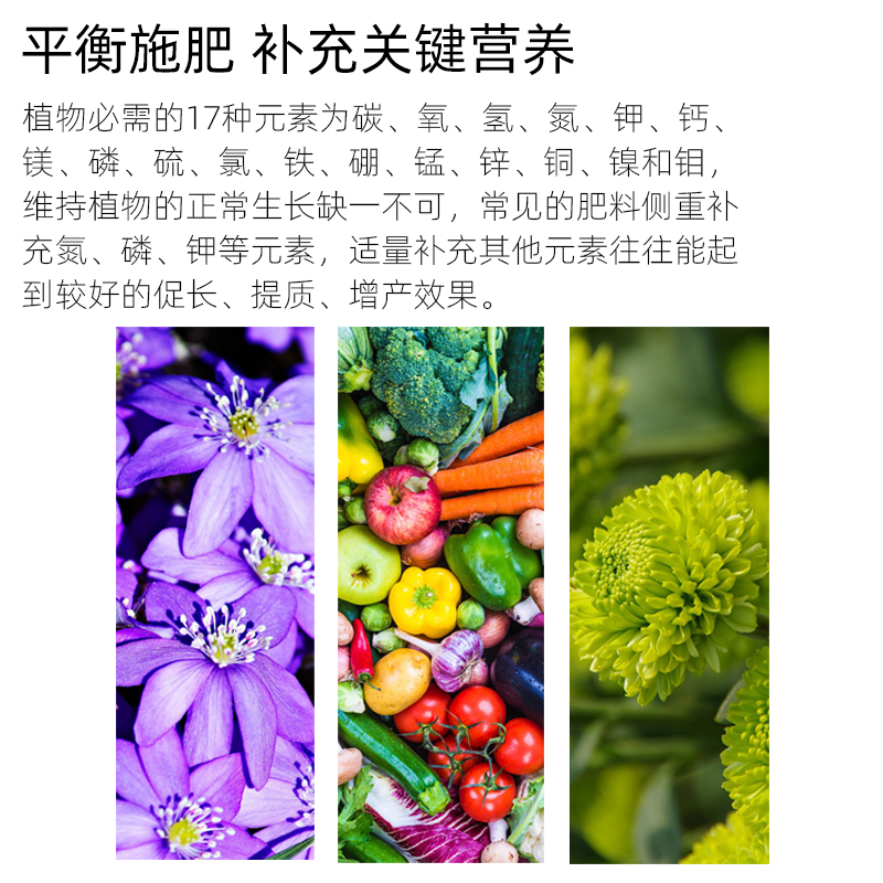 gaochun2.png gaochun2.png