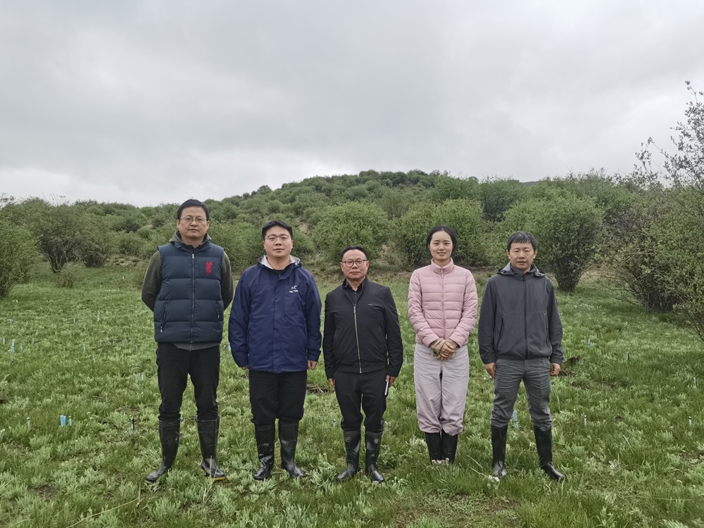 微信圖片_20250628185723.jpg 微信圖片_20250628185723.jpg